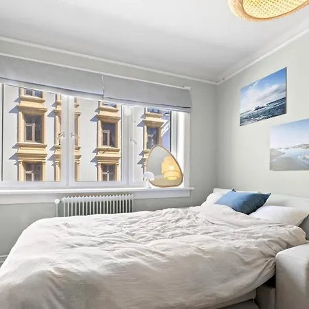 Fully Furnished With High Standard 奥斯陆
