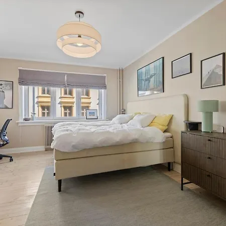 Fully Furnished With High Standard Daire Oslo