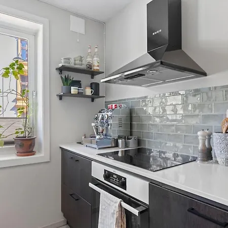 Fully Furnished With High Standard Oslo